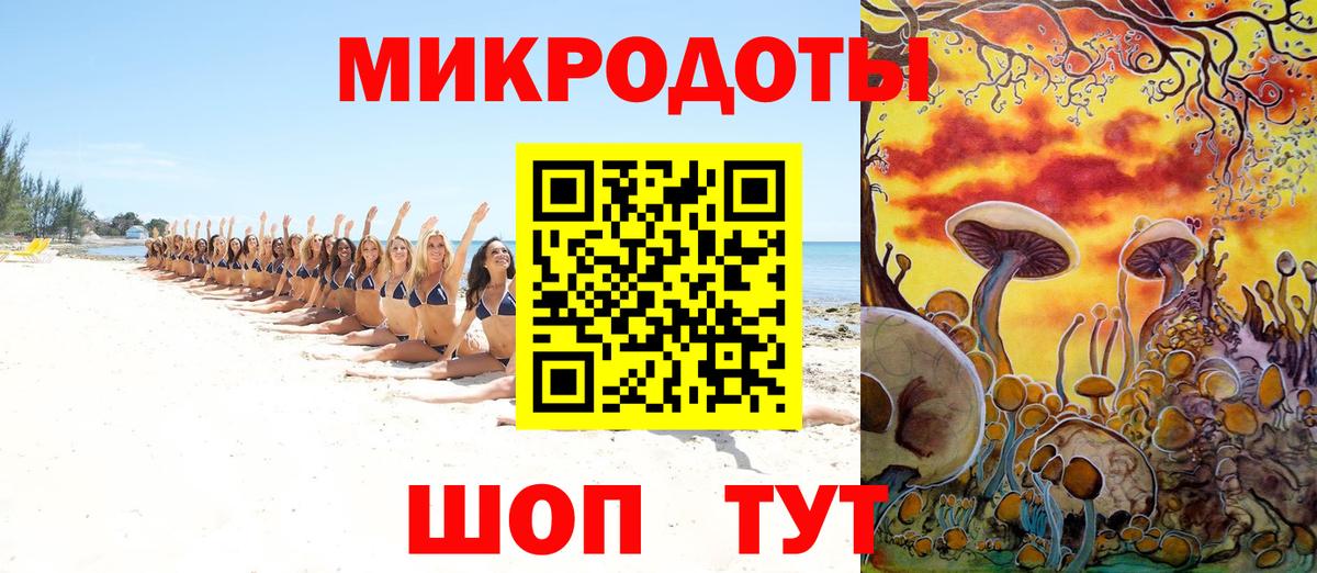 Галлюциногенные грибы Psilocybe Усинск